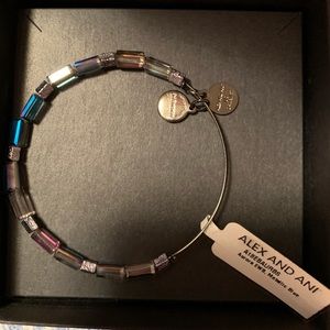 Alex and Ani metallic bracelet